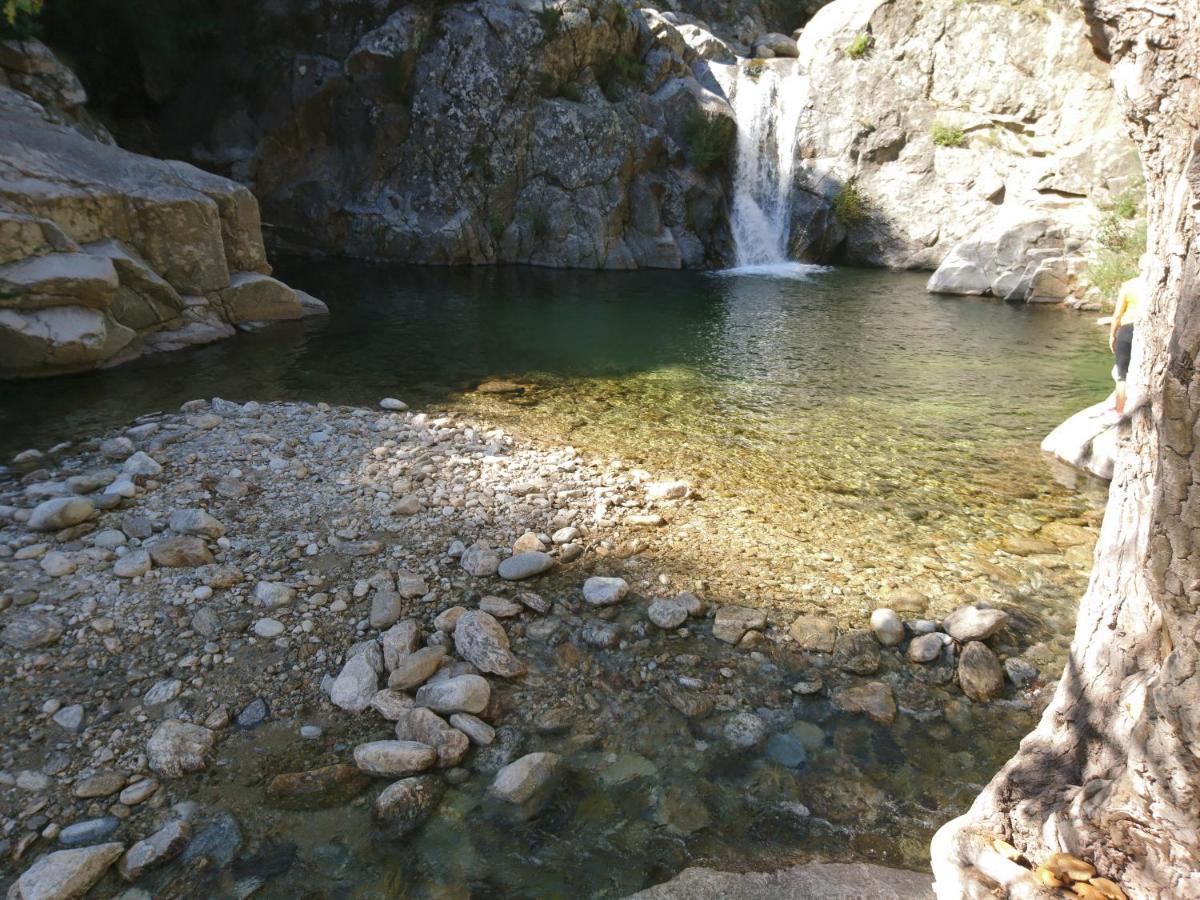 O' Bonheur De L'Olivier Chambres Et Gites 4 Etoiles Cessenon-sur-Orb Bagian luar foto