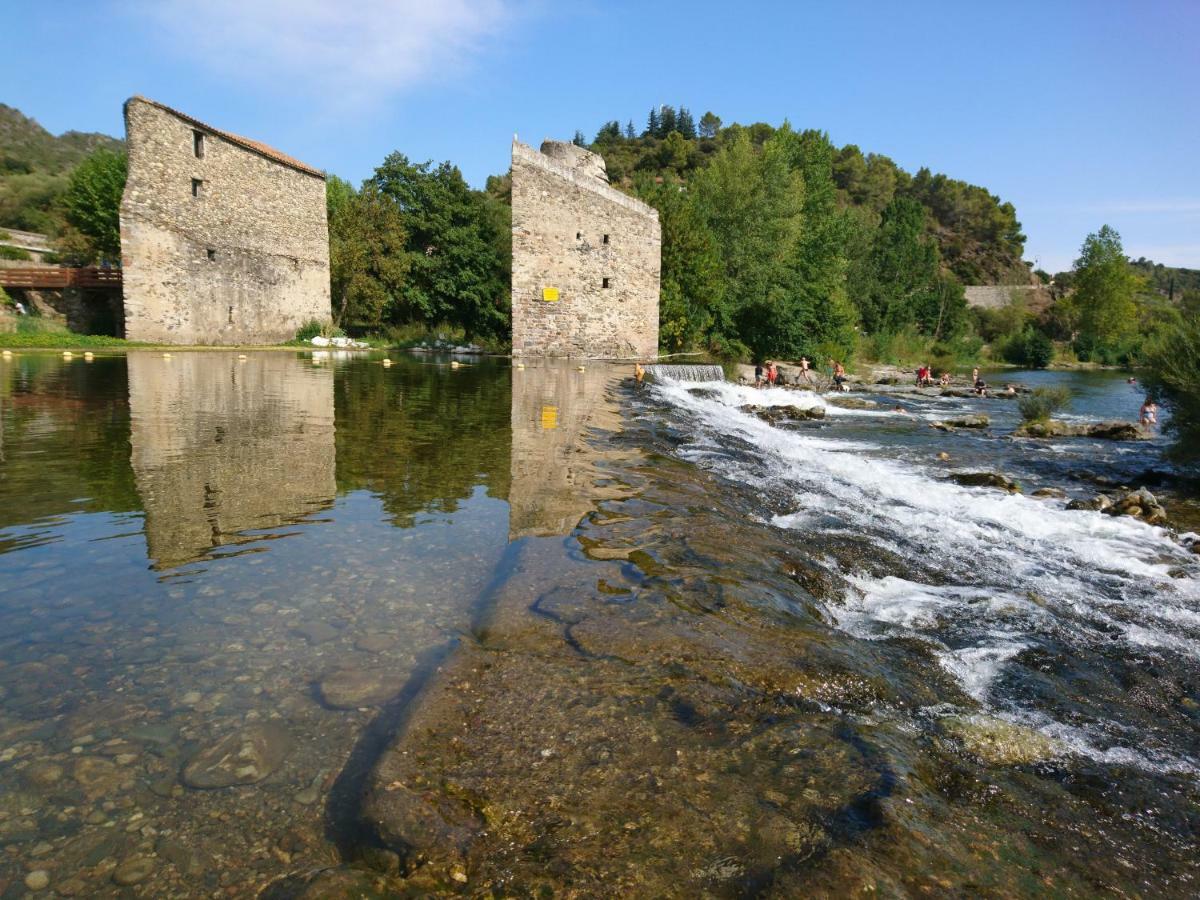 O' Bonheur De L'Olivier Chambres Et Gites 4 Etoiles Cessenon-sur-Orb Bagian luar foto